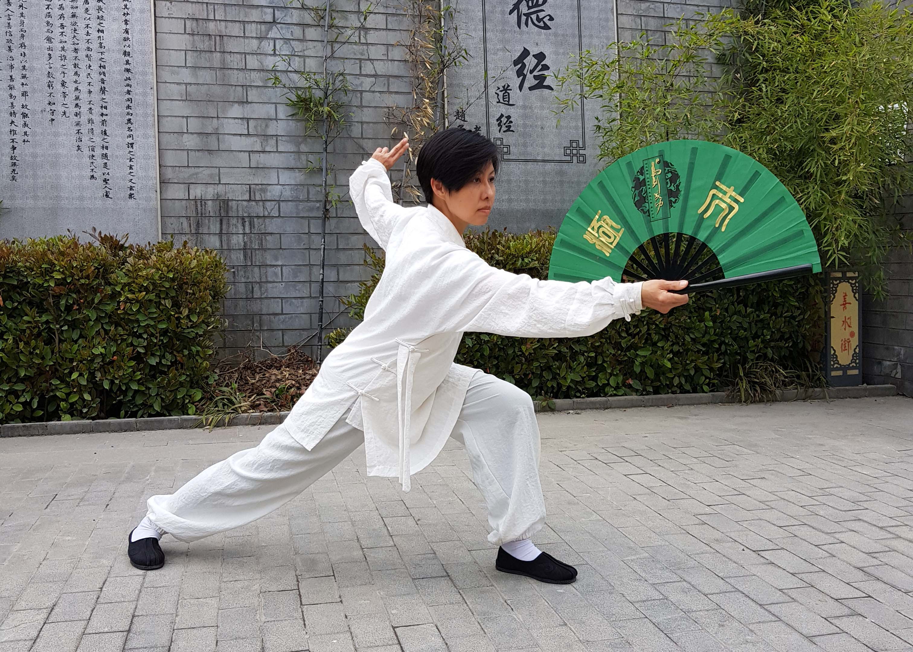 Tsichi Fan